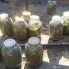 В Хмельницкой области у задержанного наркоторговца изъяли марихуаны на 20 тысяч гривен