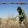 В сводном батальоне инженеров СНГ Украину могут заменить Казахстаном