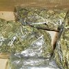 На Закарпатье правоохранители изъяли партию наркотиков на сумму в 1 миллион гривен