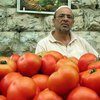 Израиль переживает помидорный кризис