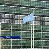 Совбез ООН обсудил права человека и свободу СМИ в Крыму
