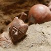 В Израиле откроется самая большая в мире археологическая библиотека Ближнего Востока