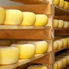 Россия запретила ввоз сыра шести украинских предприятий