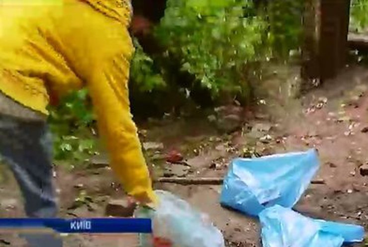 В Киеве пройдет общегородская "толока"