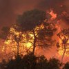 Лесной пожар в Чили: Погибли 12 человек, 10 тысяч - эвакуированы