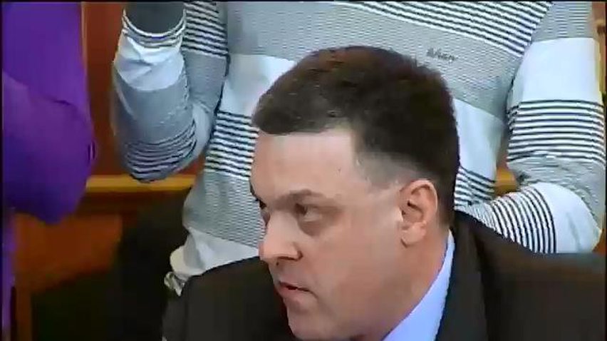 Кличко и Тягнибок хотят снять с Царева неприкосновенность
