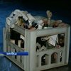 Винницкая милиция изъяла коктейли Молотова у Правого сектора