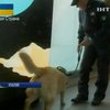 Рим готовится к наплыву туристов на канонизацию двух пап