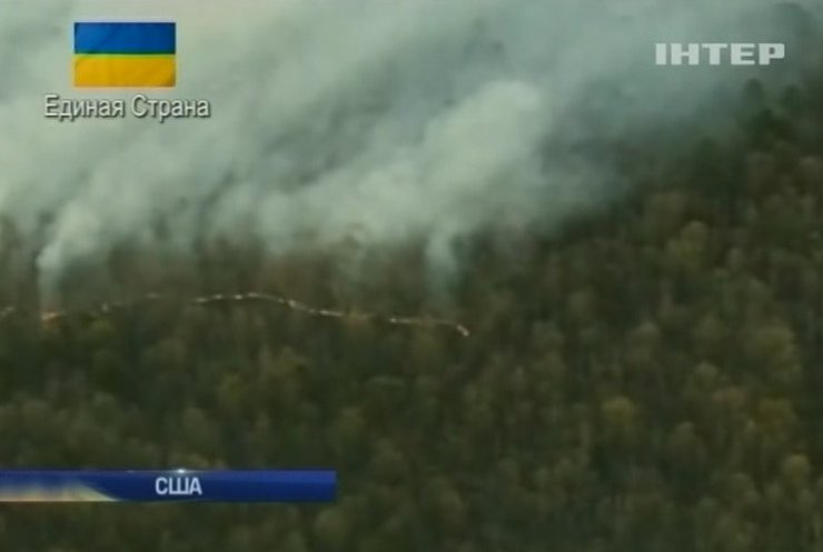 В Нью-Джерси эвакуировали жителей шестисот домов из-за лесных пожаров