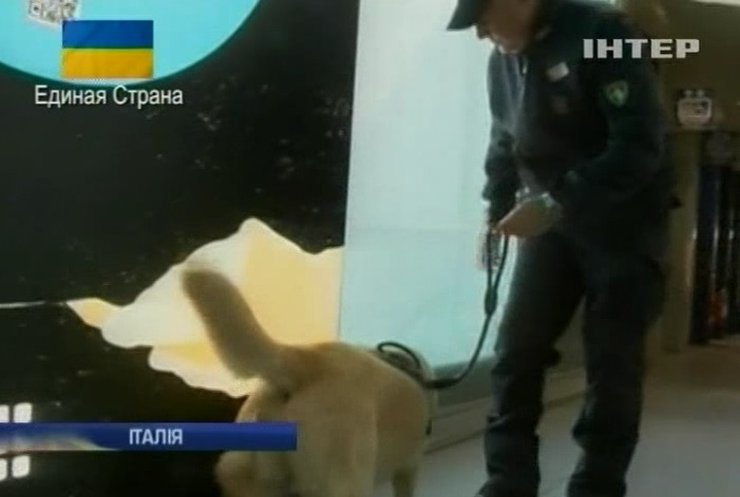 Рим готовится к наплыву туристов на канонизацию двух пап