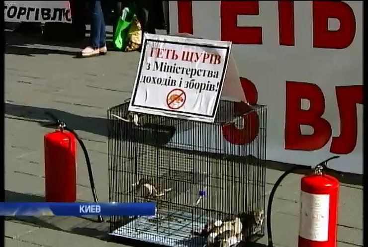 Протестующие принесли крыс к зданию Кабмина (видео)