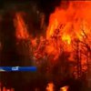 В США бушуют пожары: Есть жертвы