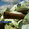 Жители Сумской области возвели баррикады и готовятся отбивать атаки врагов