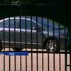 Неизвестный автомобиль поднял тревогу в Белом доме