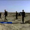 В Израиле советуют, как бороться с терроризмом (видео)