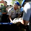 На острове Бали полиция и экологи спасают черепах вместе