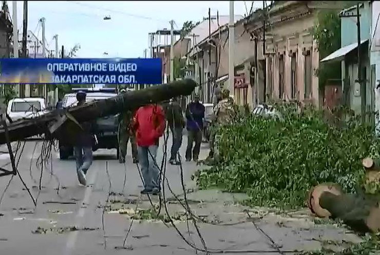 Ураган повалил десятки деревьев в Ужгороде (видео)