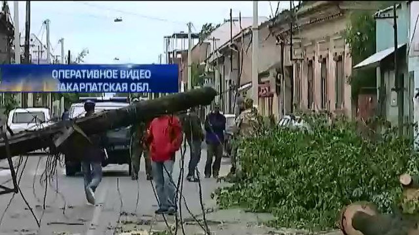 Ураган повалил десятки деревьев в Ужгороде (видео)