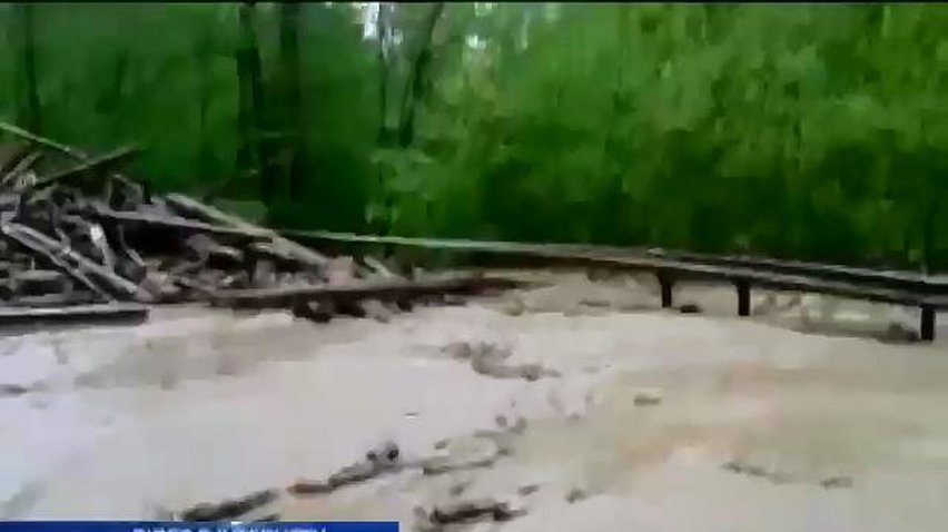 Дожди на Прикарпатье подтопили жилые дома и дороги