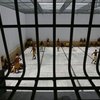 Заключенные в Бразилии взяли в заложники 122 человека