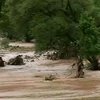 Жертвами наводнения в Боснии стали 11 человек