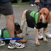 Колумбийцы соревновались в беге с собаками