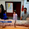 Аргентинские археологи нашли остатки гигантского динозавра