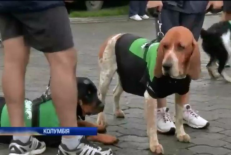 Колумбийцы соревновались в беге с собаками