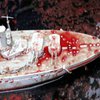 "Кровавое море" с кораблями - акция протеста против российской агрессии прошла в Варшаве