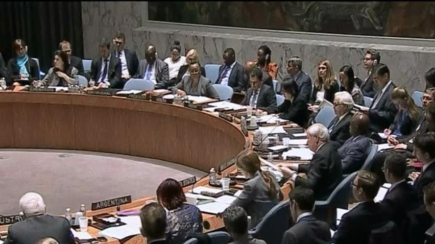 Совбез ООН обсуждает ситуацию в Украине
