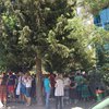 Украинцы в Греции активно голосуют на выборах президента (фото)