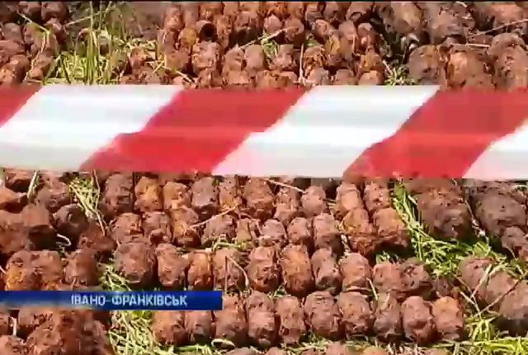 На Прикарпатье нашли целый арсенал взрывчатки