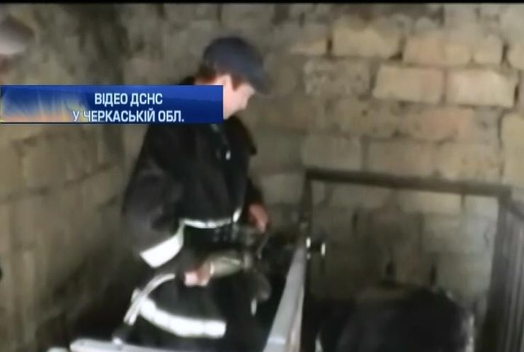 Спасатели из Черкасс освободили козу из железного плена (видео)