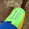 Овцы из Колумбии сыграли в финале чемпионата мира (видео)