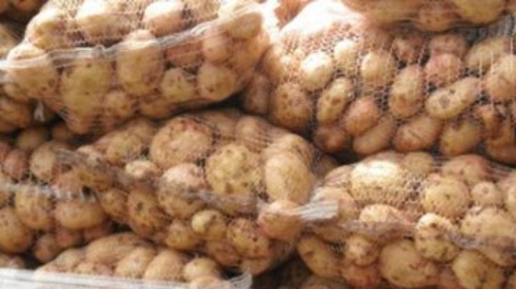 Россия запретила ввоз картофеля из Украины