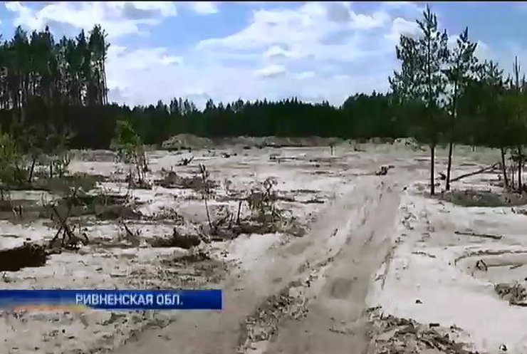 В Ривненской области продолжают нелегально добывать янтарь (видео)