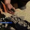 На Волині виявили цінну археологічну знахідку (відео)