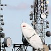 Разведслужба Германии 3 года передавала перехваченные телефонные разговоры американским коллегам