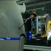 У Нью-Йорку три дні відмивали статую синього кита