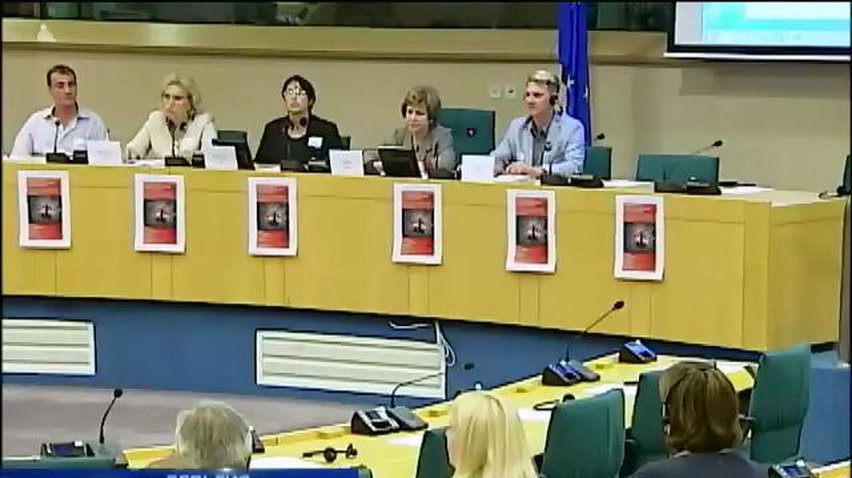 В Европарламенте презентовали проплаченную Россией книгу о нацизме в Украине