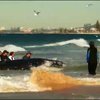 В Австралії рятувальники намагаються повернути у море дитинча кита