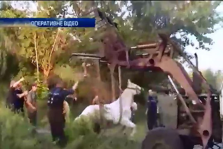 Рятувальники витягли коня з каналізації Херсону
