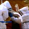 В США спасатели переселили 10 тысяч пчел (видео)