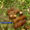 В Ивано-Франковской области возле газопровода найдена взрывчатка