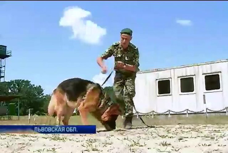 На Львовщине собак тренируют вынюхивать взрывчатку