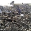 Число жертв Боинга-777 может превысить 300 человек, погибли десятки детей