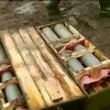 Украинским солдатам приходится стрелять снарядами Второй мировой