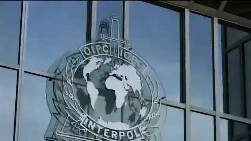 Інтерпол відправить в Україну експертів для упізнання тіл жертв падіння Боїнга-777