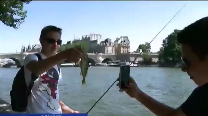 Парижани відроджують у місті любов до рибалки (видео)