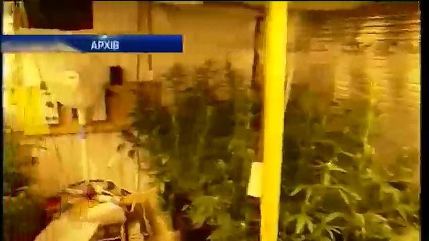 Міліція Полтави затримала 71-річного пенсіонера, що торгував марихуаною